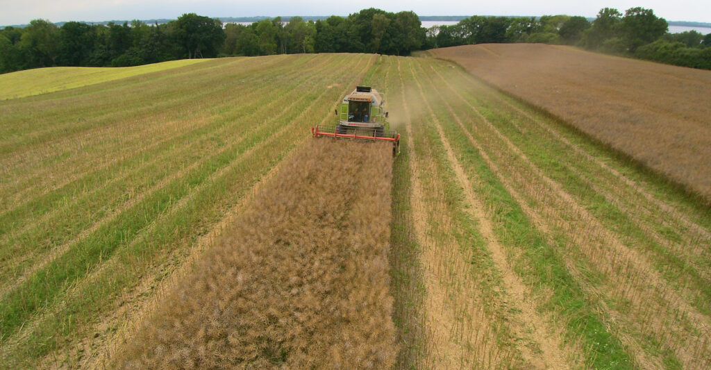 10a